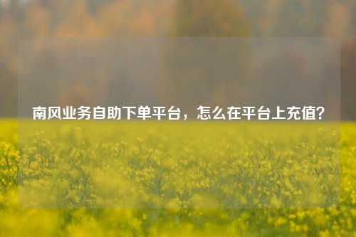 南风业务自助下单平台，怎么在平台上充值？