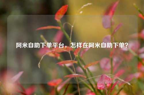 阿米自助下单平台，怎样在阿米自助下单？