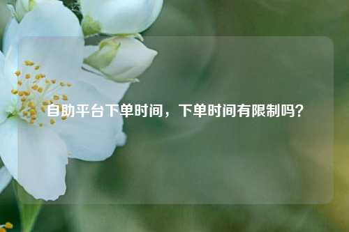 自助平台下单时间，下单时间有限制吗？