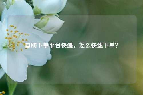 自助下单平台快递，怎么快速下单？
