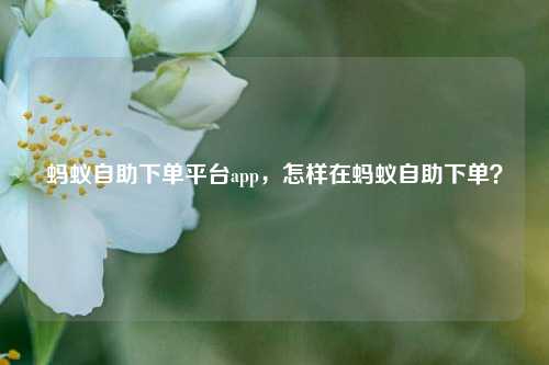 蚂蚁自助下单平台app，怎样在蚂蚁自助下单？