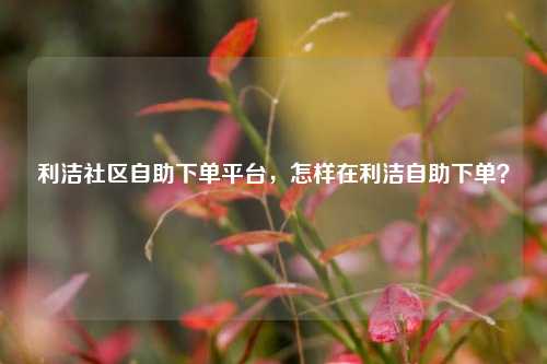 利洁社区自助下单平台，怎样在利洁自助下单？