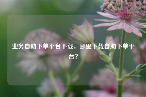 业务自助下单平台下载，哪里下载自助下单平台？