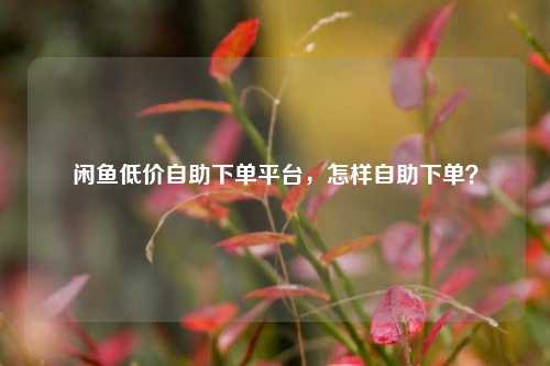 闲鱼低价自助下单平台，怎样自助下单？