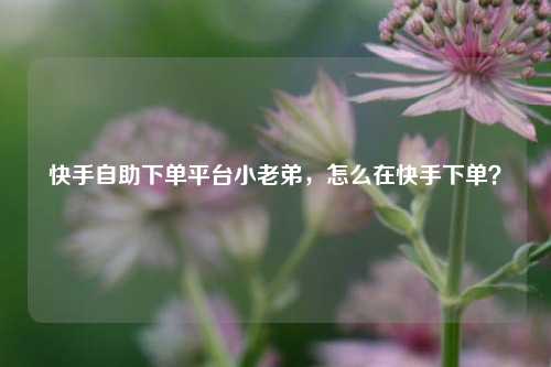 快手自助下单平台小老弟，怎么在快手下单？