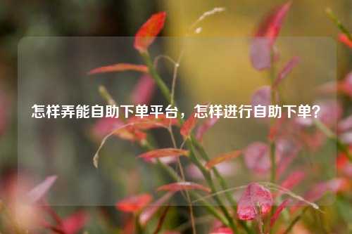 怎样弄能自助下单平台，怎样进行自助下单？
