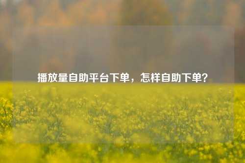 播放量自助平台下单，怎样自助下单？