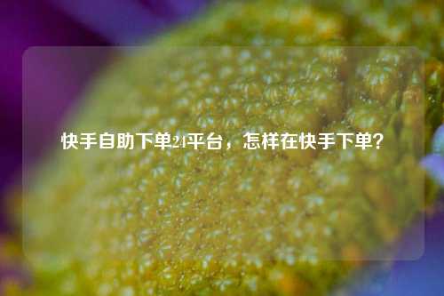 快手自助下单24平台，怎样在快手下单？