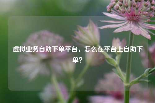 虚拟业务自助下单平台，怎么在平台上自助下单？