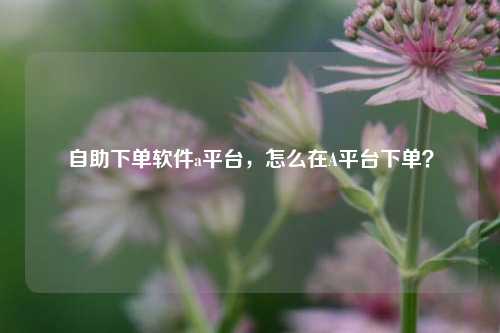 自助下单软件a平台，怎么在A平台下单？