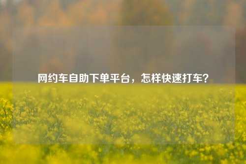 网约车自助下单平台，怎样快速打车？