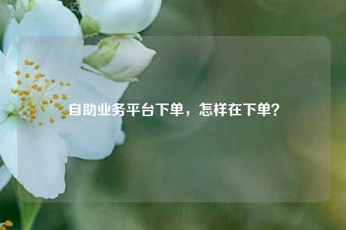 自助业务平台下单，怎样在下单？