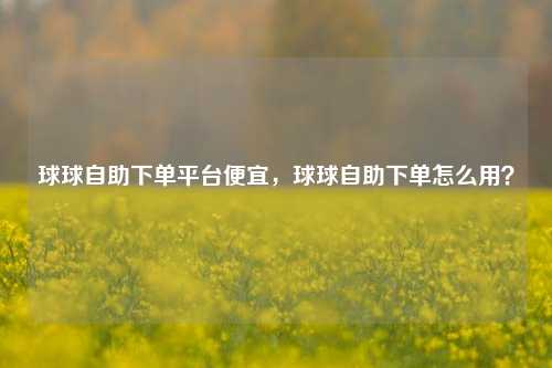 球球自助下单平台便宜，球球自助下单怎么用？
