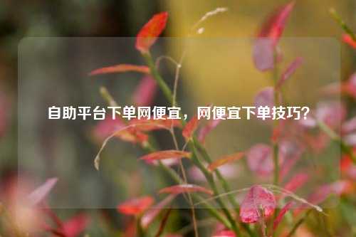 自助平台下单网便宜，网便宜下单技巧？