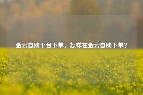 金云自助平台下单，怎样在金云自助下单？
